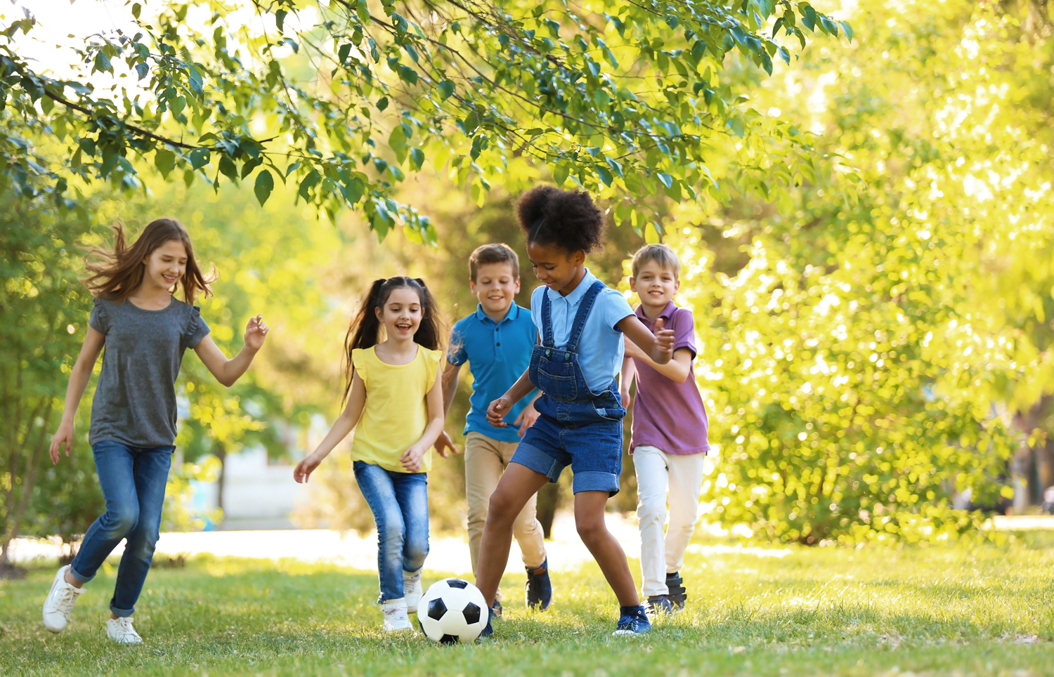 Supporting Safe Environments: Background Checks for Youth Organizations and Churches